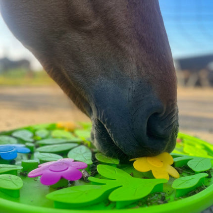 Fleurige snuffelmat voor paarden