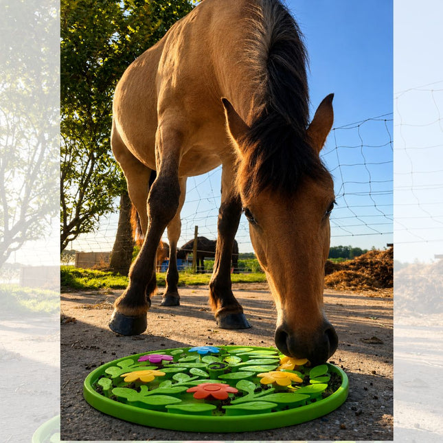 Fleurige snuffelmat voor paarden