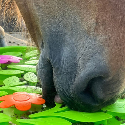 Fleurige snuffelmat voor paarden