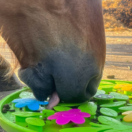 Fleurige snuffelmat voor paarden