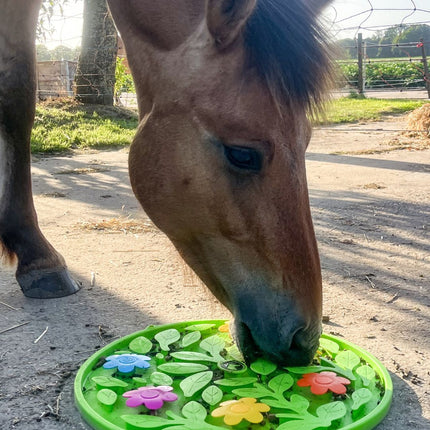 Fleurige snuffelmat voor paarden