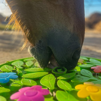 Fleurige snuffelmat voor paarden
