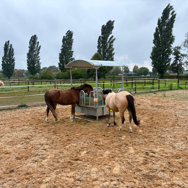 Vierkante slowfeeder ruif met veiligheidspalissade voerhekken, 8 voerplaatsen