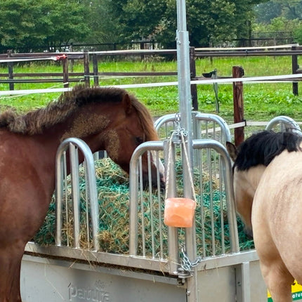 Vierkante slowfeeder ruif met veiligheidspalissade voerhekken, 8 voerplaatsen