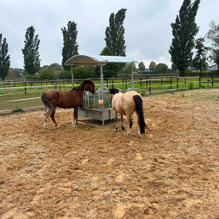 Vierkante slowfeeder ruif met veiligheidspalissade voerhekken, 8 voerplaatsen