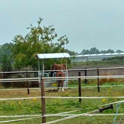 Vierkante slowfeeder ruif met veiligheidspalissade voerhekken, 8 voerplaatsen