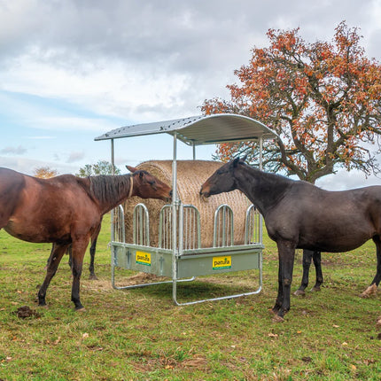 Vierkante_ruif_voor_paddock_of_weide