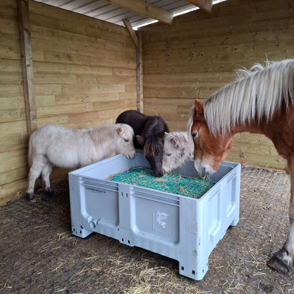 Shetlandveulens bij Pony Edition XXL slowfeeder