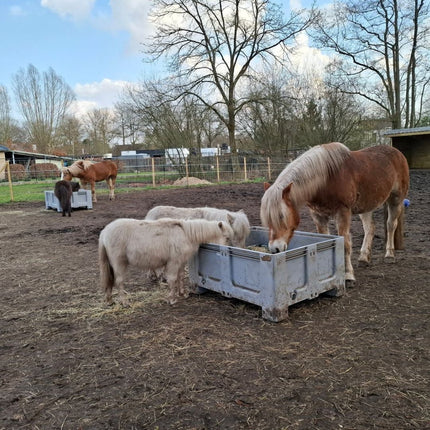 Slowfeeder XXL Pony Edition