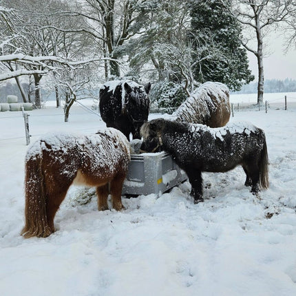 Slowfeeder XXL Pony Edition