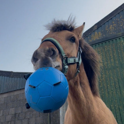 Horse Fun Pack | Set verrijkingsmateriaal