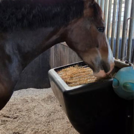 bruin paard eet uit slowfeeder hooiruif hay bar