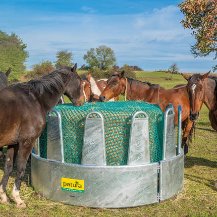 paarden_eten_uit_ronde_ruif_voor_12_paarden