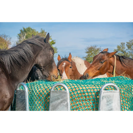 Paarden eten hooi door een groen Patura voerbesparend net in een hooiruif; ruif niet inbegrepen