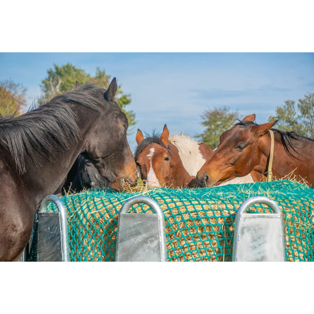 Paarden eten hooi door een groen Patura voerbesparend net in een hooiruif; ruif niet inbegrepen