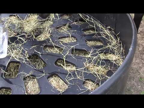 Slowfeeder hooirring 